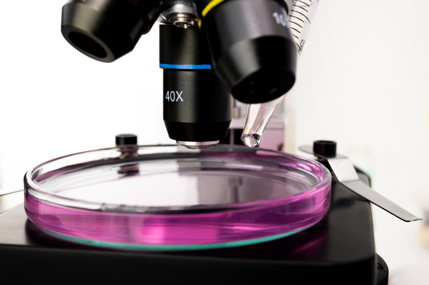 Hot Stage Microscopy for Polymer and Wax Analysis
