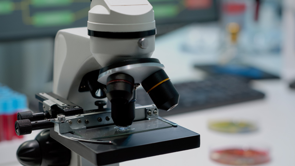 GMP Documentation for Hot Stage Microscopy in Indian Pharma Labs