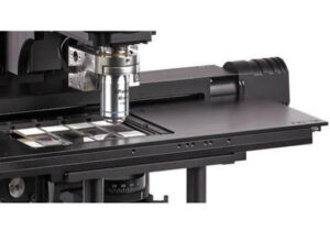 How Asbestos Analysis in Talc Is Performed | USP <901>/<1901> | Hexon