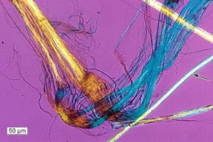 How Asbestos Analysis in Talc Is Performed | USP <901>/<1901> | Hexon